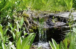 Deer Creek, Mount Charleston, NV 89124