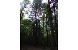 Randall Dr, Potsdam, NY 13676