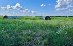 TBD 19.933AC TX-11, Bailey, TX 75413