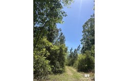 Highway 168, Century, FL 32535