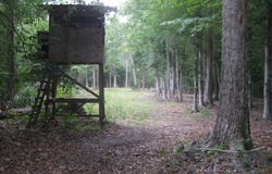 Slab Landing Road, North, SC 29112