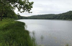 Rainey Drive, Hattieville, AR 72063