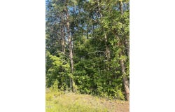 4 Salem Pond Drive, Hurdle Mills, NC 27541