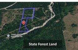 8779 Bingham Trail, Grayling, MI 49738