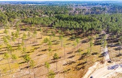 19 Big Buck Drive, Moscow, TX 75960