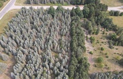 PARCEL B DANBURY ROAD, KINGSLEY, MI 49649