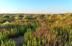 Road AA, Larkin, KS 67860