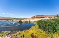 Map Rock Road, Caldwell, ID 83607