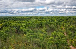 Larson Road lot: 7, Hayward, WI 54843