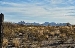 H110 Hwy 118, Terlingua, TX 79852
