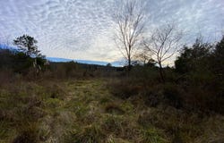 Co. Rd. 9, Eldridge, AL 35554