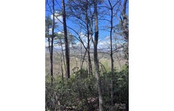 High Pines Loop, Lake Lure, NC 28746