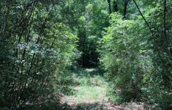 Ms-48, Tylertown, MS 39667