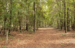 260TH ST., OBrien, FL 32071
