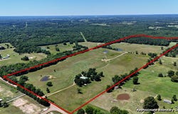 10769 CR 3519, MURCHISON, TX 75778
