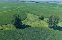 380th Street, Westbrook, MN 56083