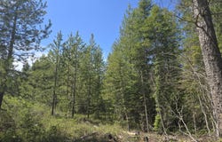W OREGON Rd, DEER PARK, WA 99006