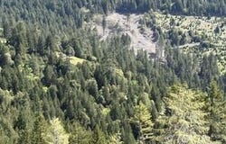 12350 Forest Service Rt 1 Rd, Kneeland, CA 95549