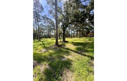 NE Webb Ln, Steinhatchee, FL 32359