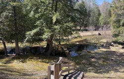 4699 N Able Road, Irons, MI 49644