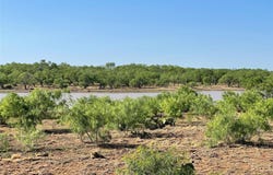 County Road 346 lot: 218Ac, Gouldbusk, TX 76845