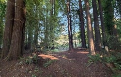 026 Moore Avenue, Eureka, CA 95501