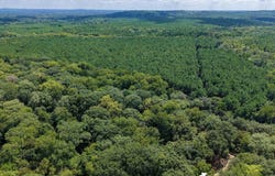 16111 CR 1226, Grapeland, TX 75844