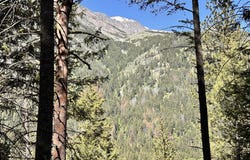 ARAPAHOE Rd, WallowaLake, OR 97846