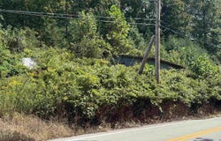 1 E Mud River Road, Milton, WV 25541