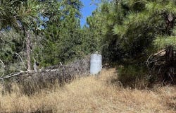 Forrest Road 1N19, Twain Harte, CA 95379