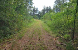 Co Rd 1079, Vinemont, AL 35179