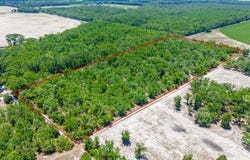 NW 40th Ave, Bell, FL 32619