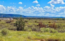 Hay Hollow Rd 20 Acres, Snowflake, AZ 85937