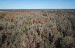 White Oak Drive, Arkadelphia, AR 71923