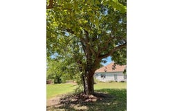 505 E 4th St, Cameron, TX 76520