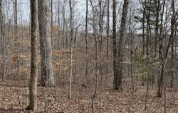 Swanson Road, Ringgold, GA 30736