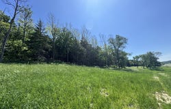 2294 Bluff Rd, Sidney, IA 51652