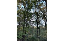 Tract 6 CR 369, OXFORD, MS 38655