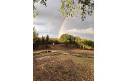201 Hcr 2127, Whitney, TX 76692