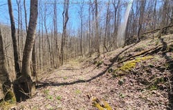 Bufflick Road, Clendenin, WV 25045