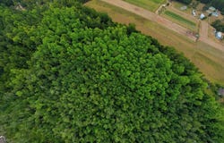 10600 Us Highway 80 E, Brooklet, GA 30415