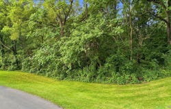 V/L S 5th Street, Lewiston, NY 14092