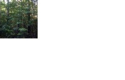 120 Rustler Road, Louisburg, NC 27549