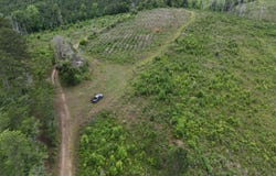 County Road 54, Clopton, AL 36317
