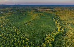 MOUNTAIN CUT RD, APPOMATTOX, VA 24522