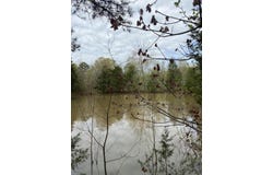 3365 County Road 153, Gainesville, MO 65655