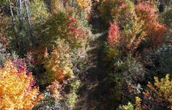 TBD41 Iron Belle Trail, Covington, MI 49919