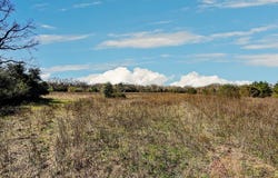 0 Mack Washington Ln., Hempstead, TX 77445