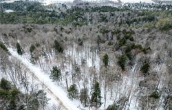 Hemlock Road, New Berlin, NY 13411