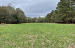 7901 Ashleigh Road, Blackville, SC 29817